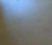 Eurolive_Test_StarP